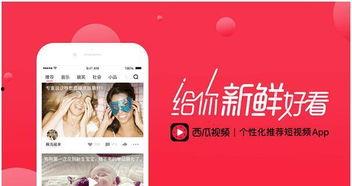 娱乐吃瓜酱视频边框图片,揭秘边框图片背后的故事