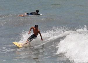 娱乐吃瓜冲浪社