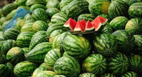 娱乐吃瓜酱农村小名,一场别开生面的乡村趣味故事