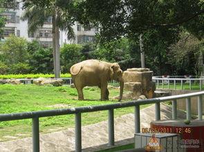 娱乐吃瓜酱南宁动物园,探秘动物乐园，共享欢乐时光