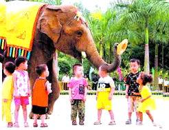 娱乐吃瓜酱南宁动物园,探秘动物乐园，共享欢乐时光