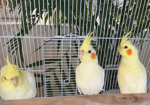 郑州公司吃瓜娱乐,吃瓜娱乐背后的职场生态探秘